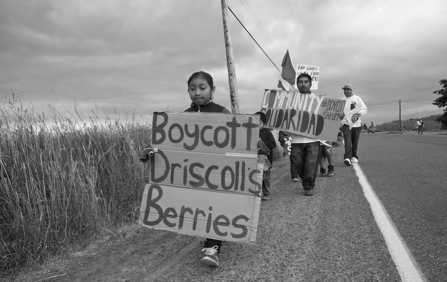 The Pacific Coast Farm-Worker Rebellion