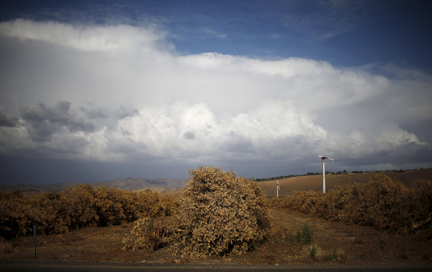 California Drought