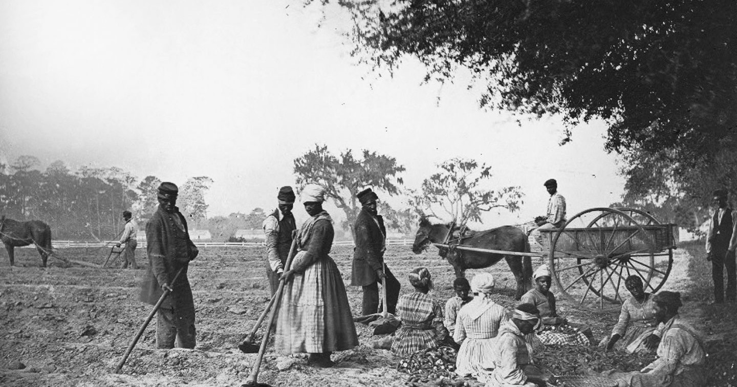 Slavery During The 1800s Slavery