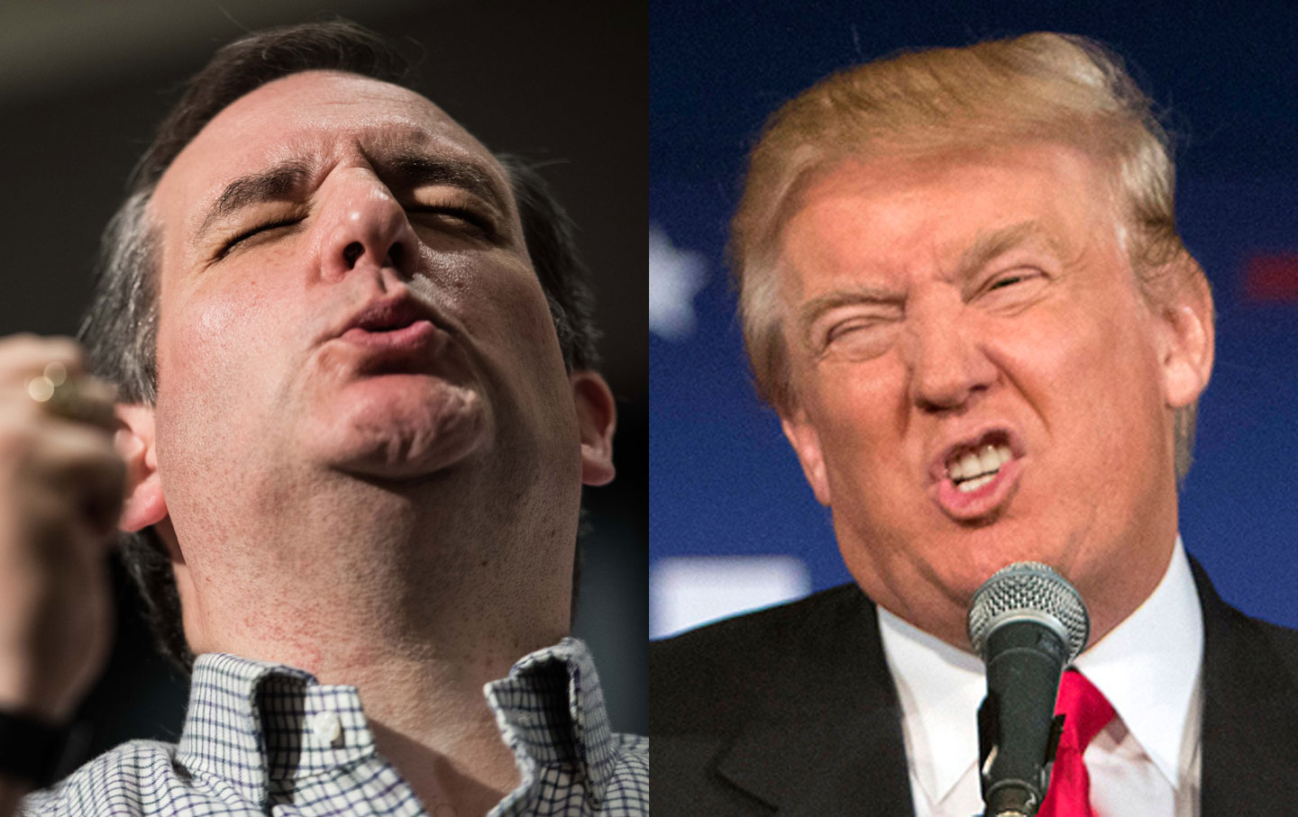 Ted Cruz and Donald Trump