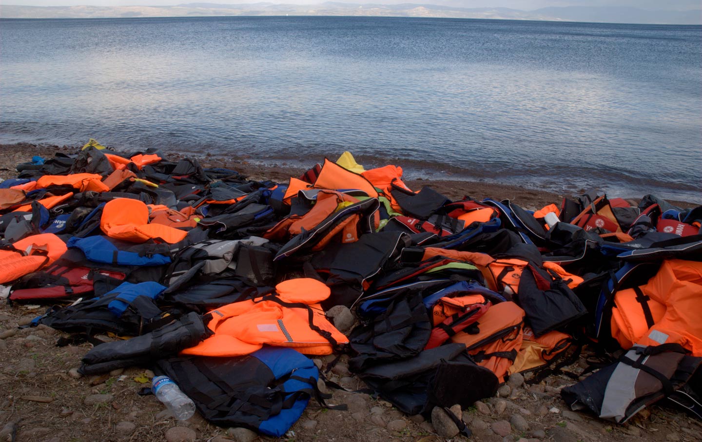 Ai Weiwei on Refugees: They Are Part of Us