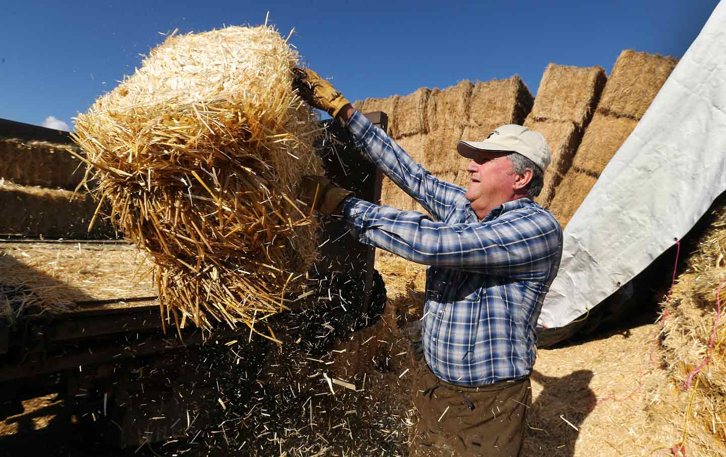 Utah Farmer Loads Hay