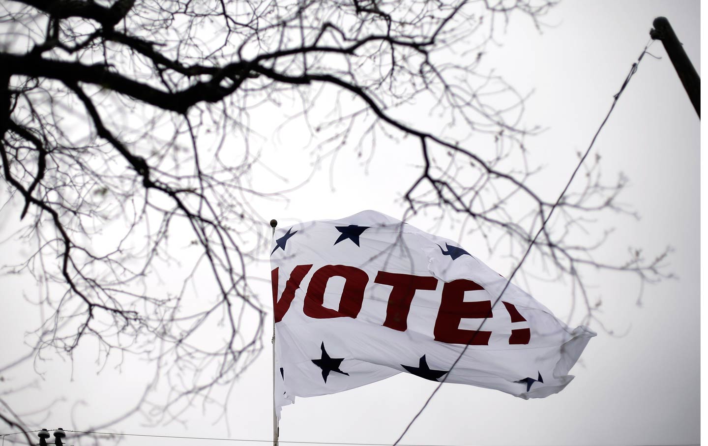 Vote Flag Texas