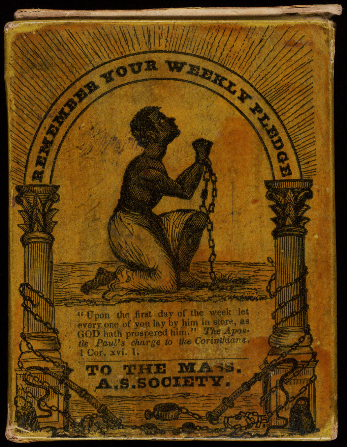 Support, Entrenched Wiki