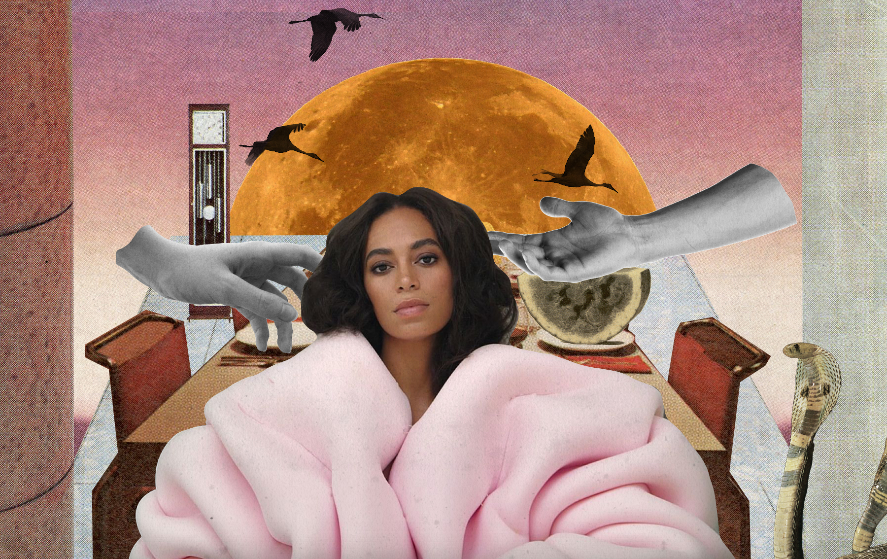 A Seat at Solange’s Table