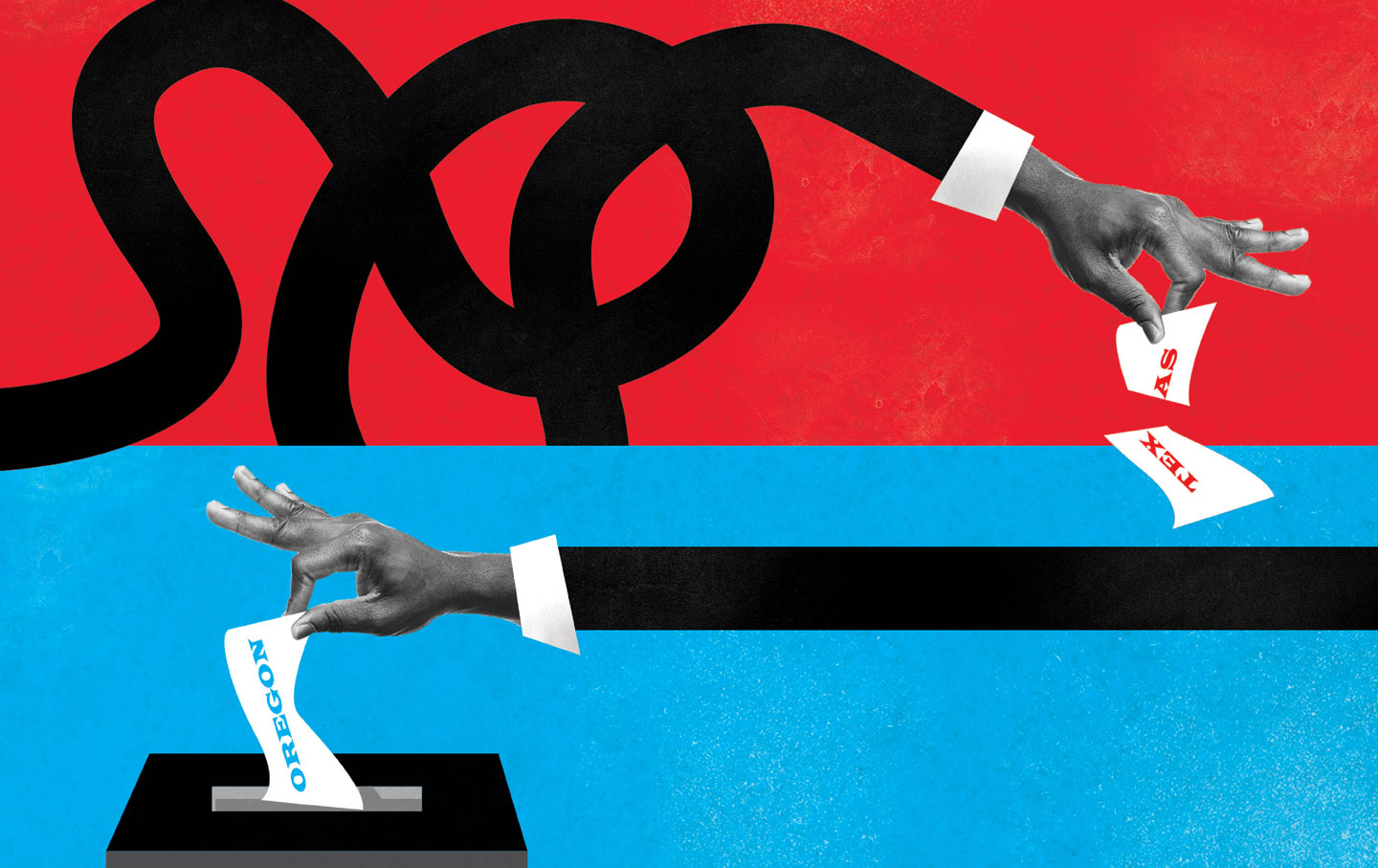 Berman_longarmvoting_img