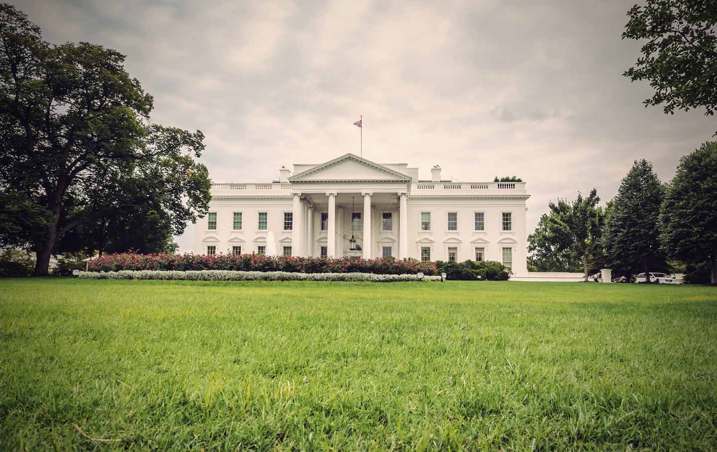 Applying for a White House Job The Nation