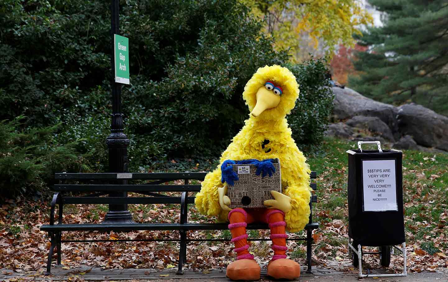 Big Bird on bench