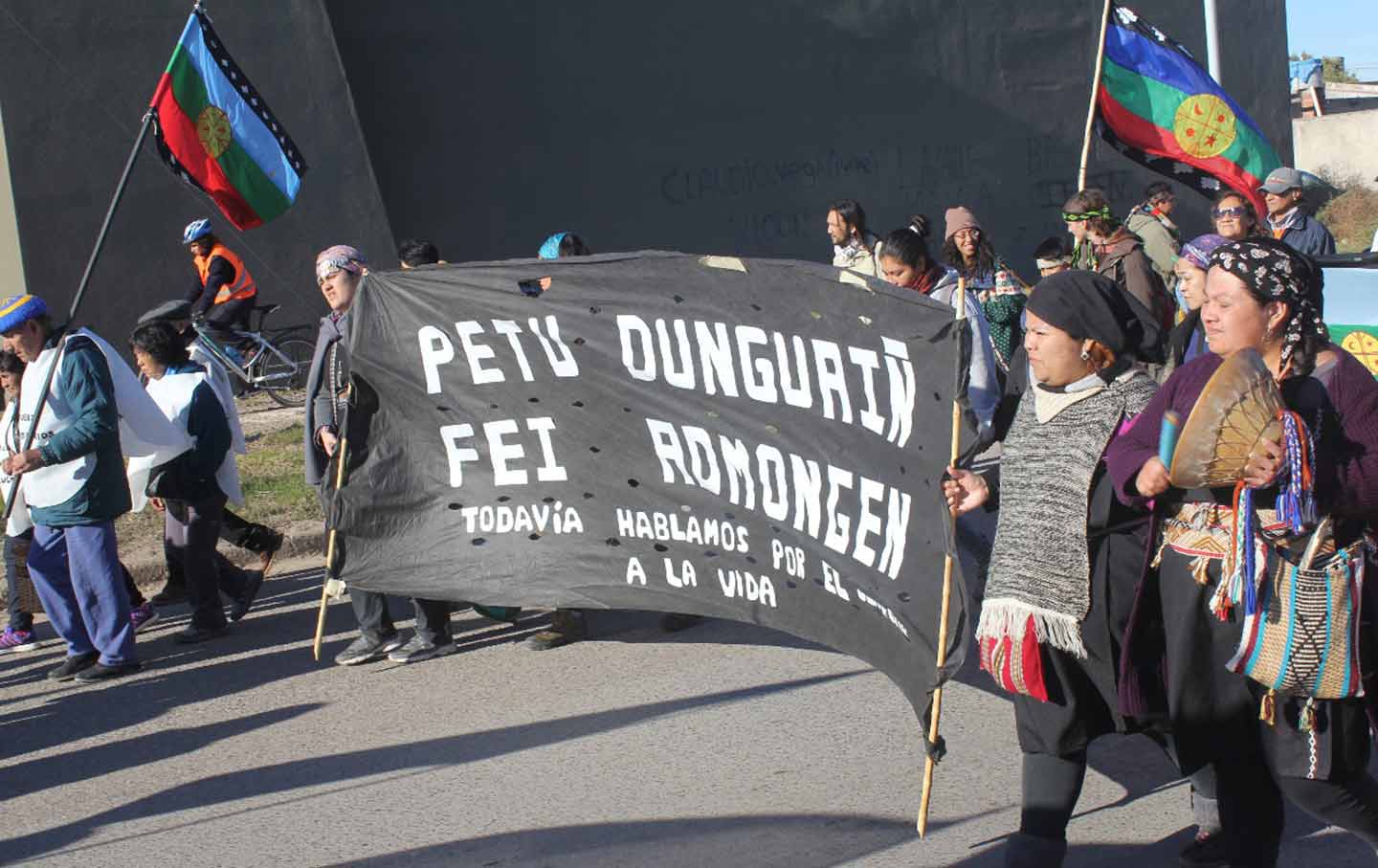 Mapuche march