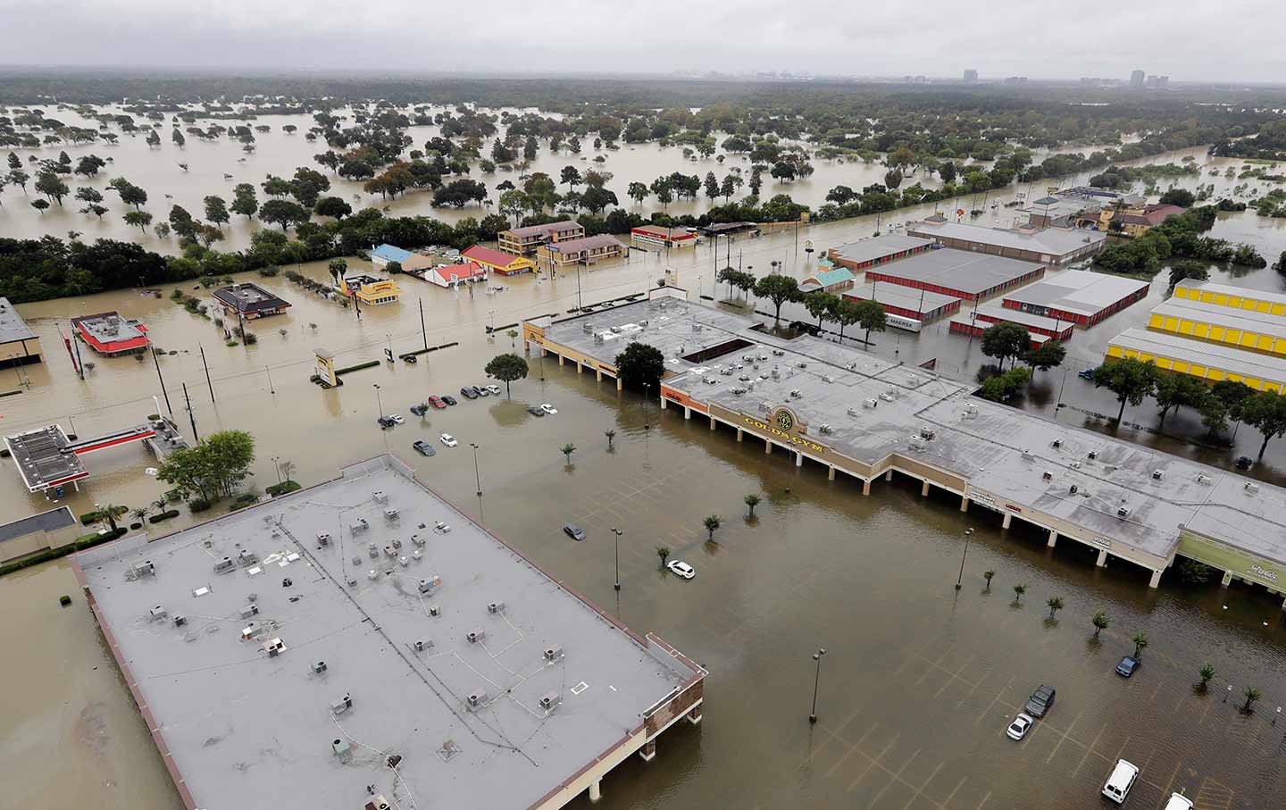 Houston Flood