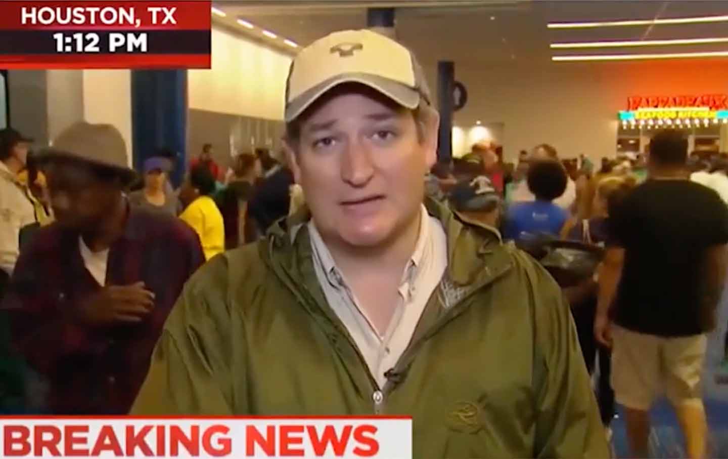 ted cruz msnbc