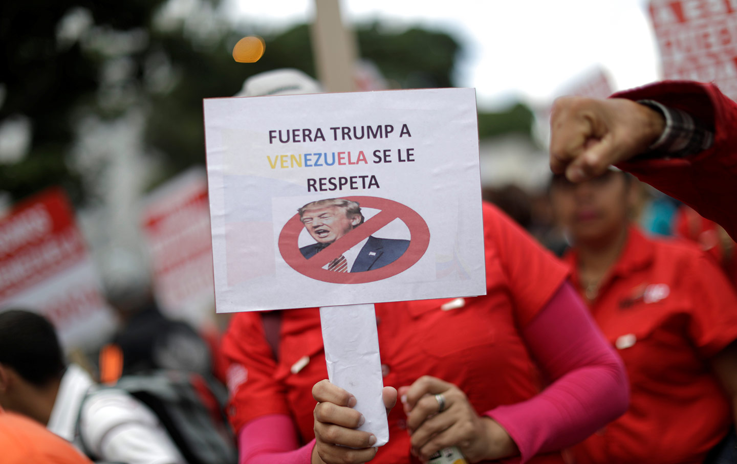 A pro-government supporter holds a sign that reads 