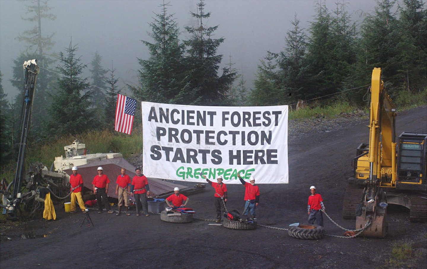 Greenpeace-logging-forest-protest-ap-img
