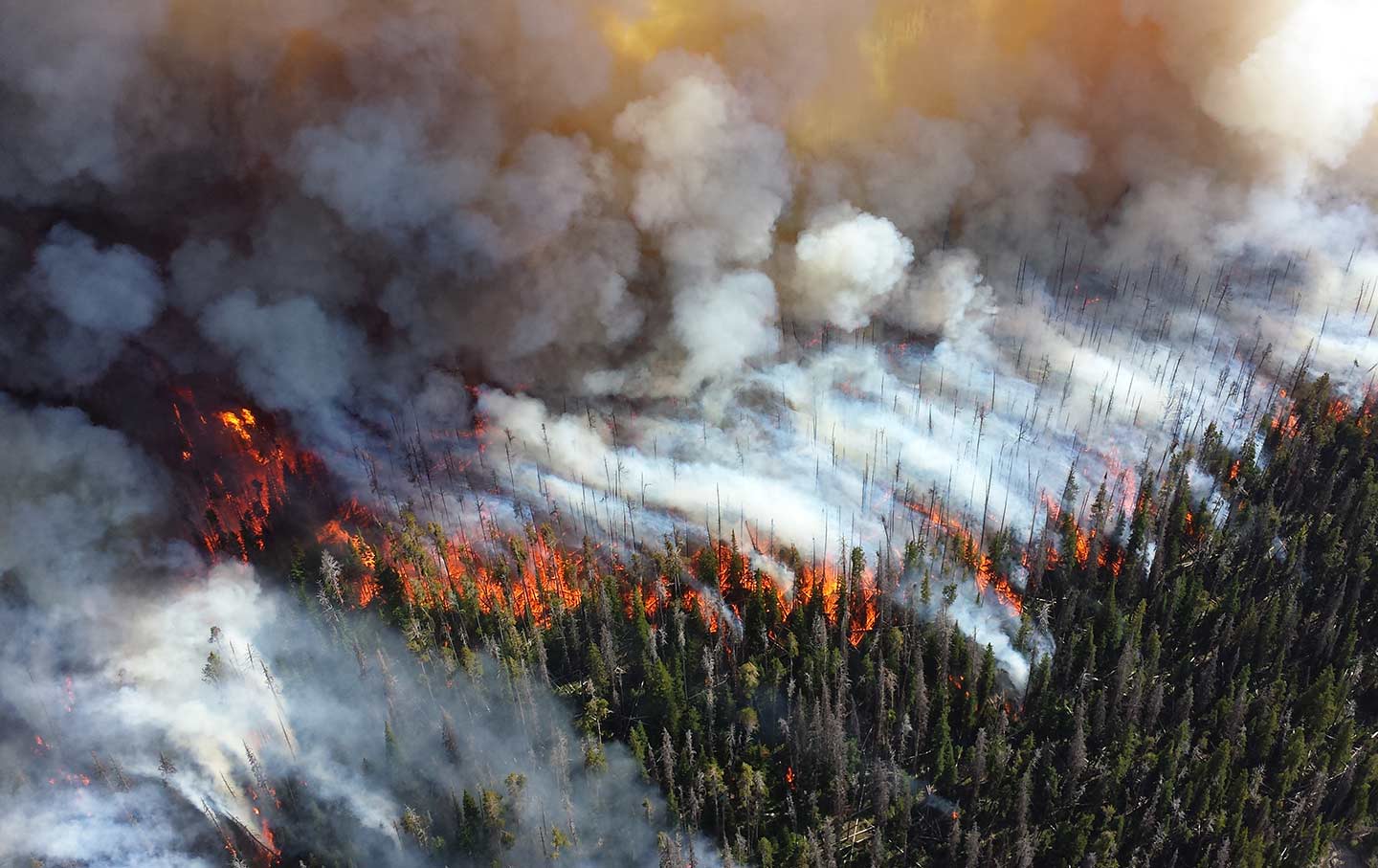 Yellowstone National Park