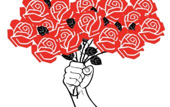 Since Trump’s Victory, Democratic Socialists of America Has Become a Budding Political Force