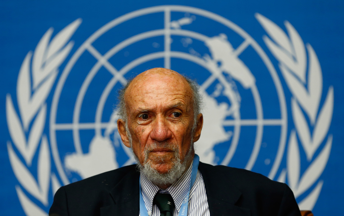 Richard Falk UN