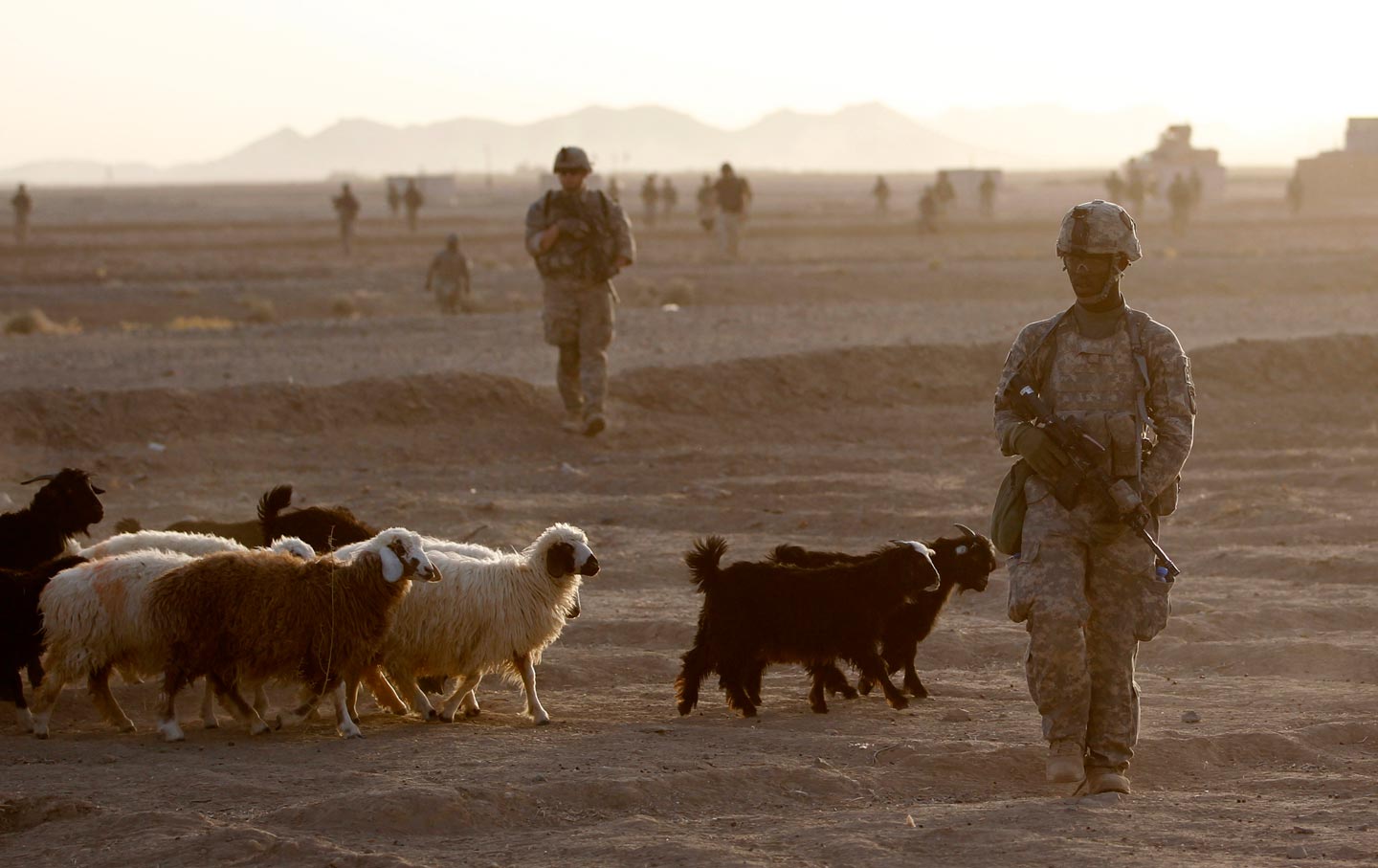 US soldier sheep Afghanistan