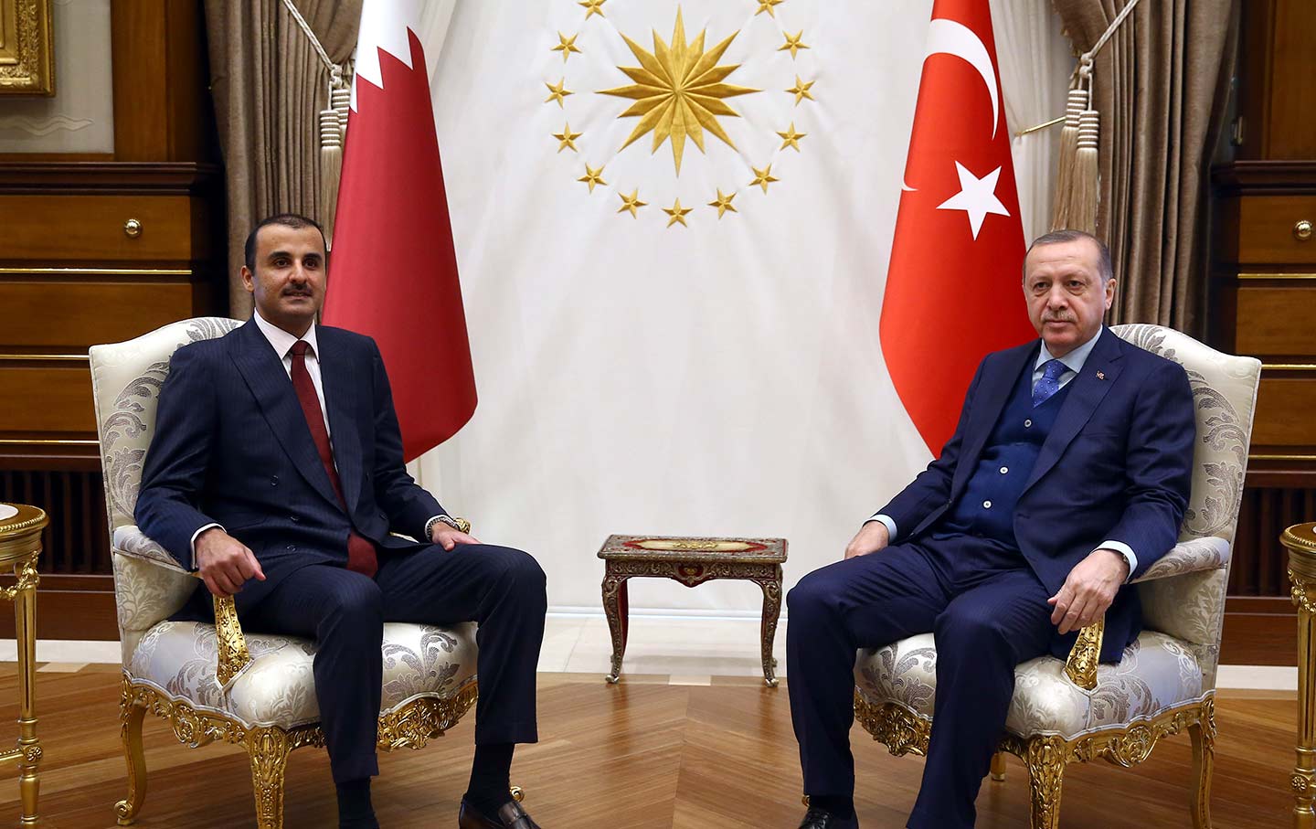 Qatar's Al Thani and Turkey's Erdogan