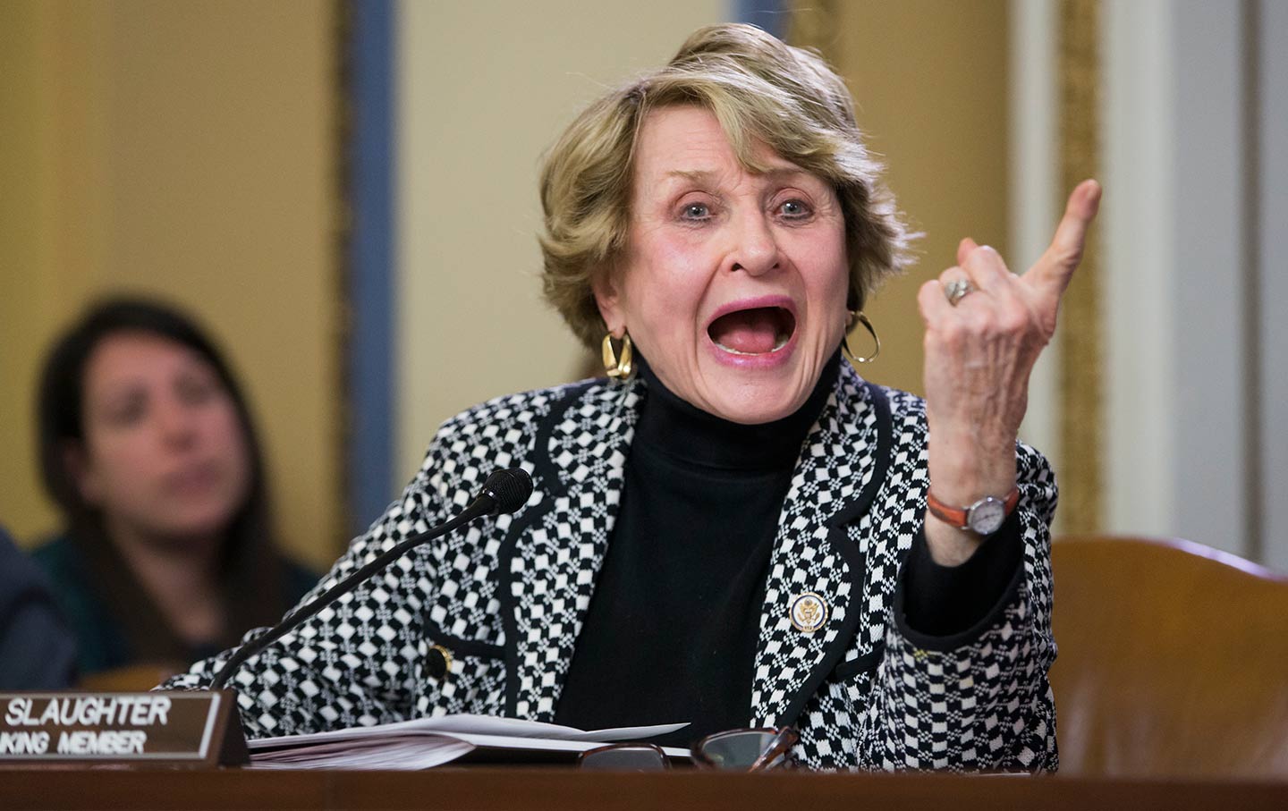 Louise Slaughter—Feminist, Environmentalist, Media Reformer, and Champion of Economic Justice