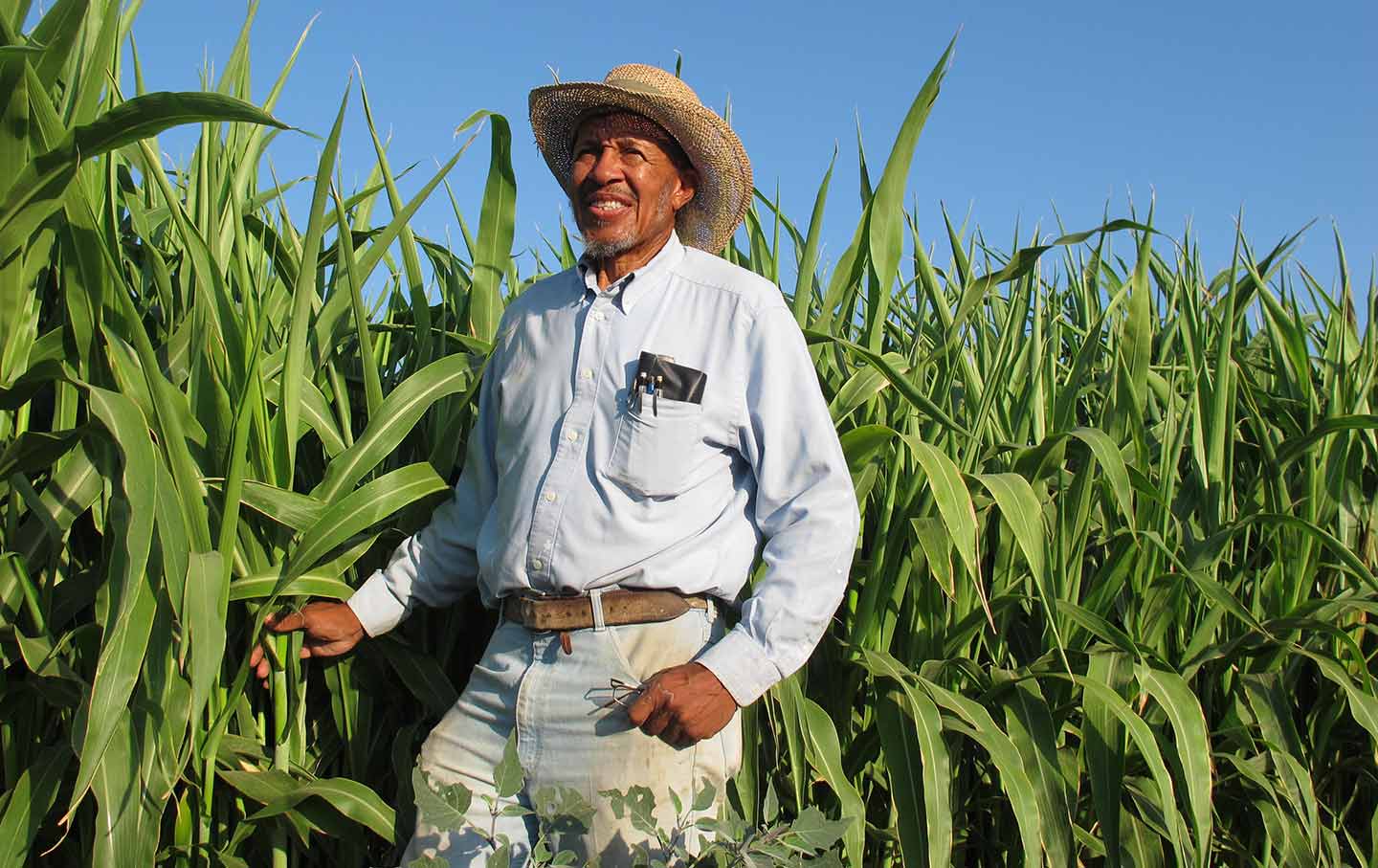 black farmers