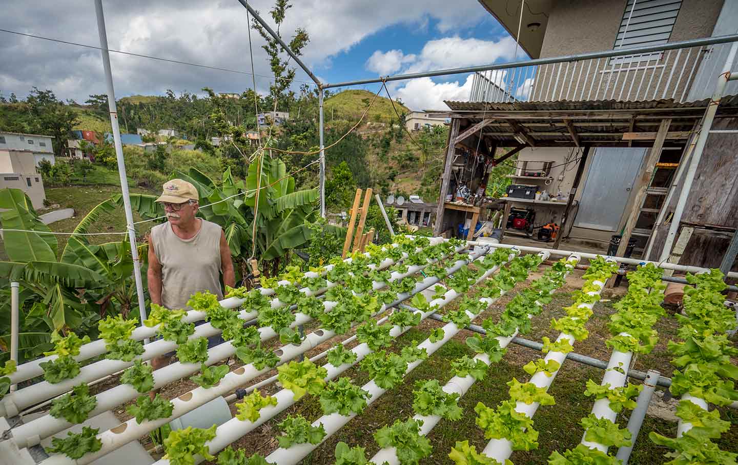 Hyroponic Farm in Puerto Rico