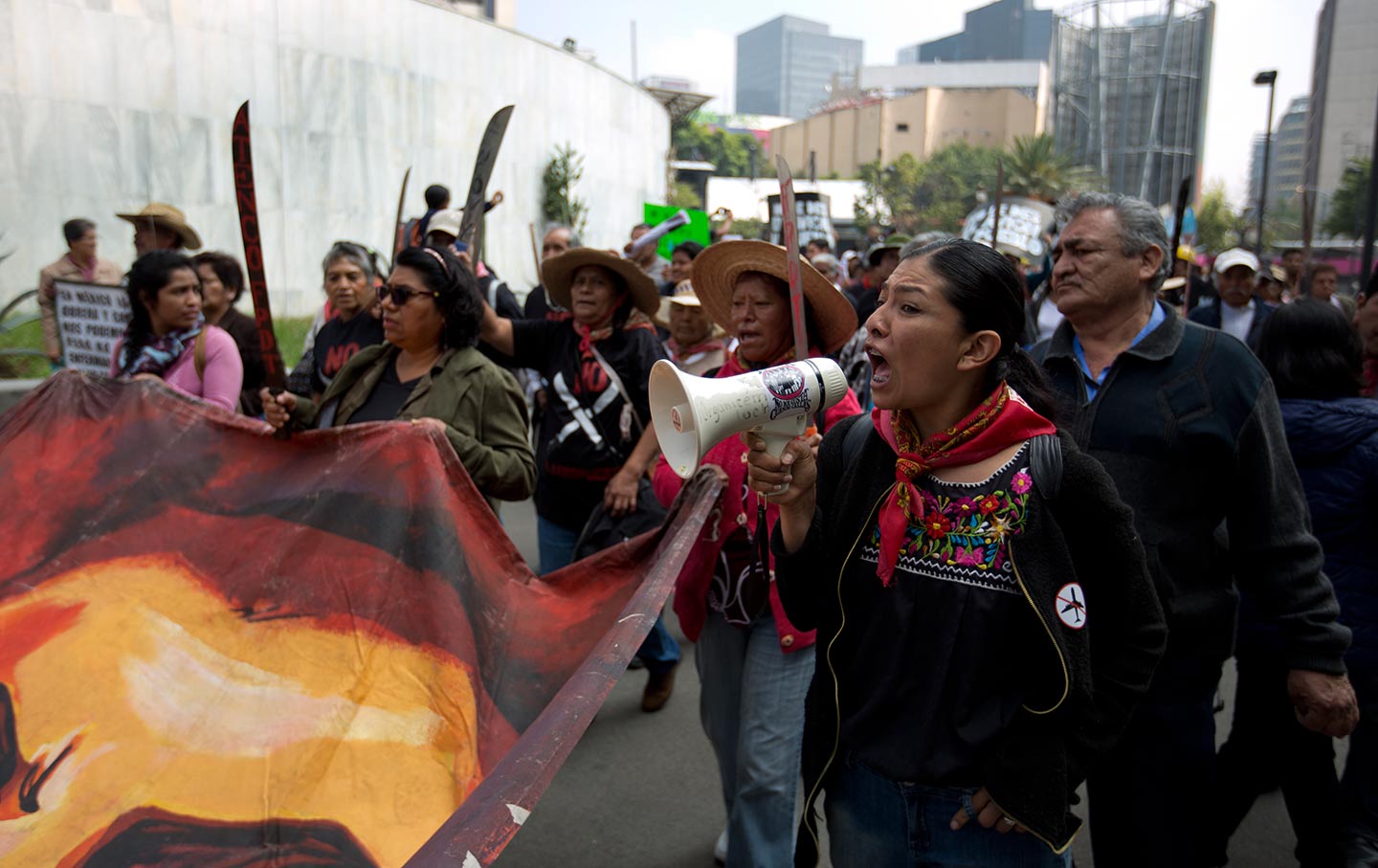 Mexico Airport Protest