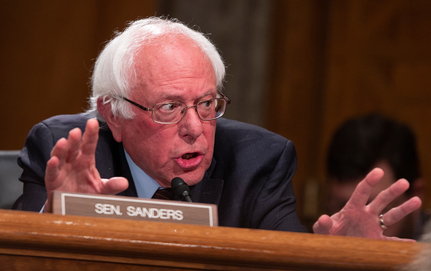 Sanders War Powers Hearing