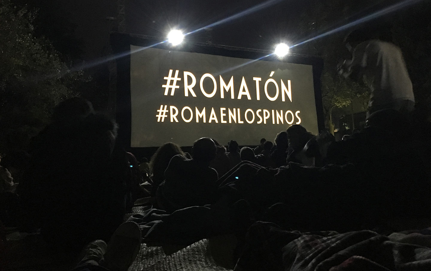 Roma screening