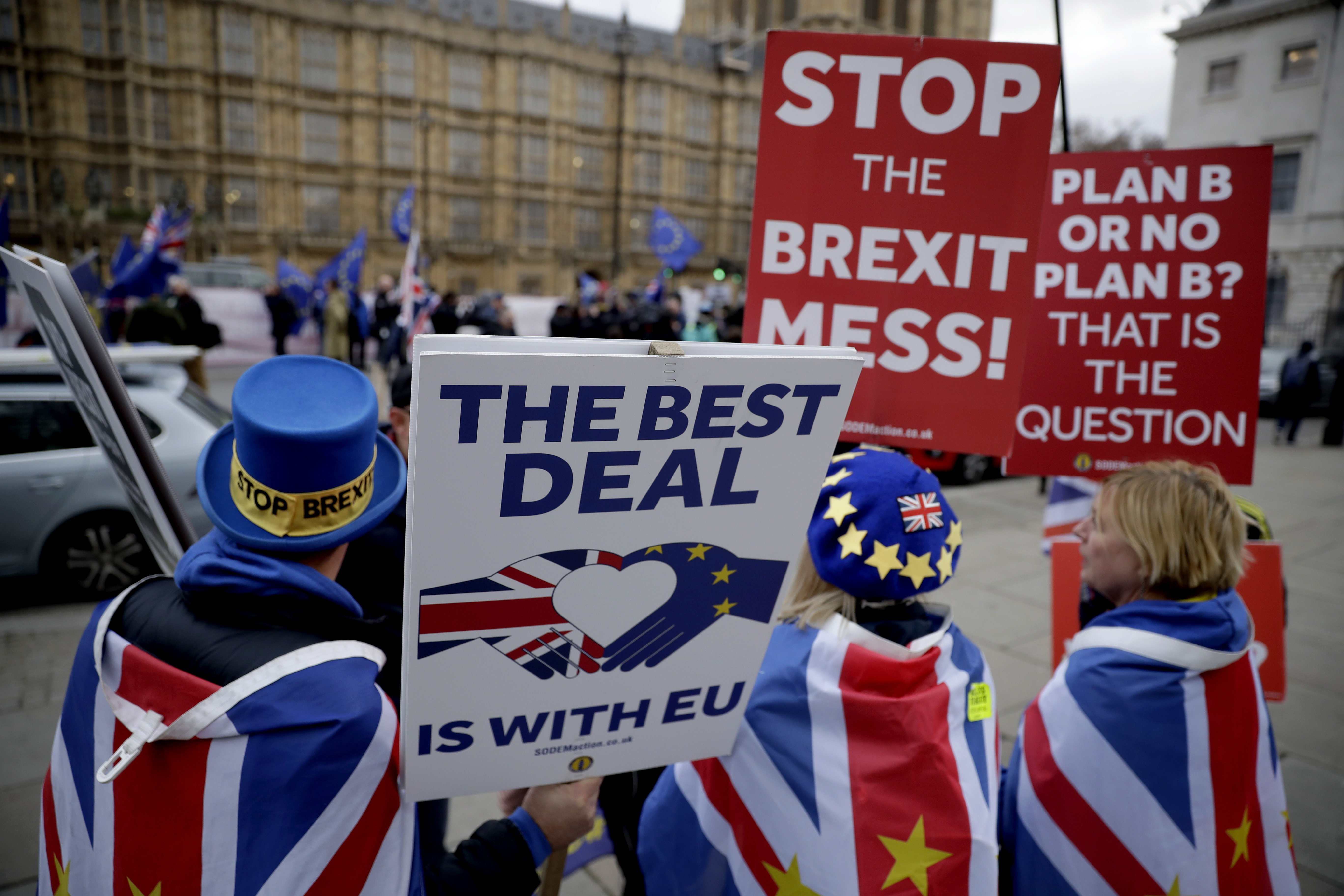 Brexit Demonstrators