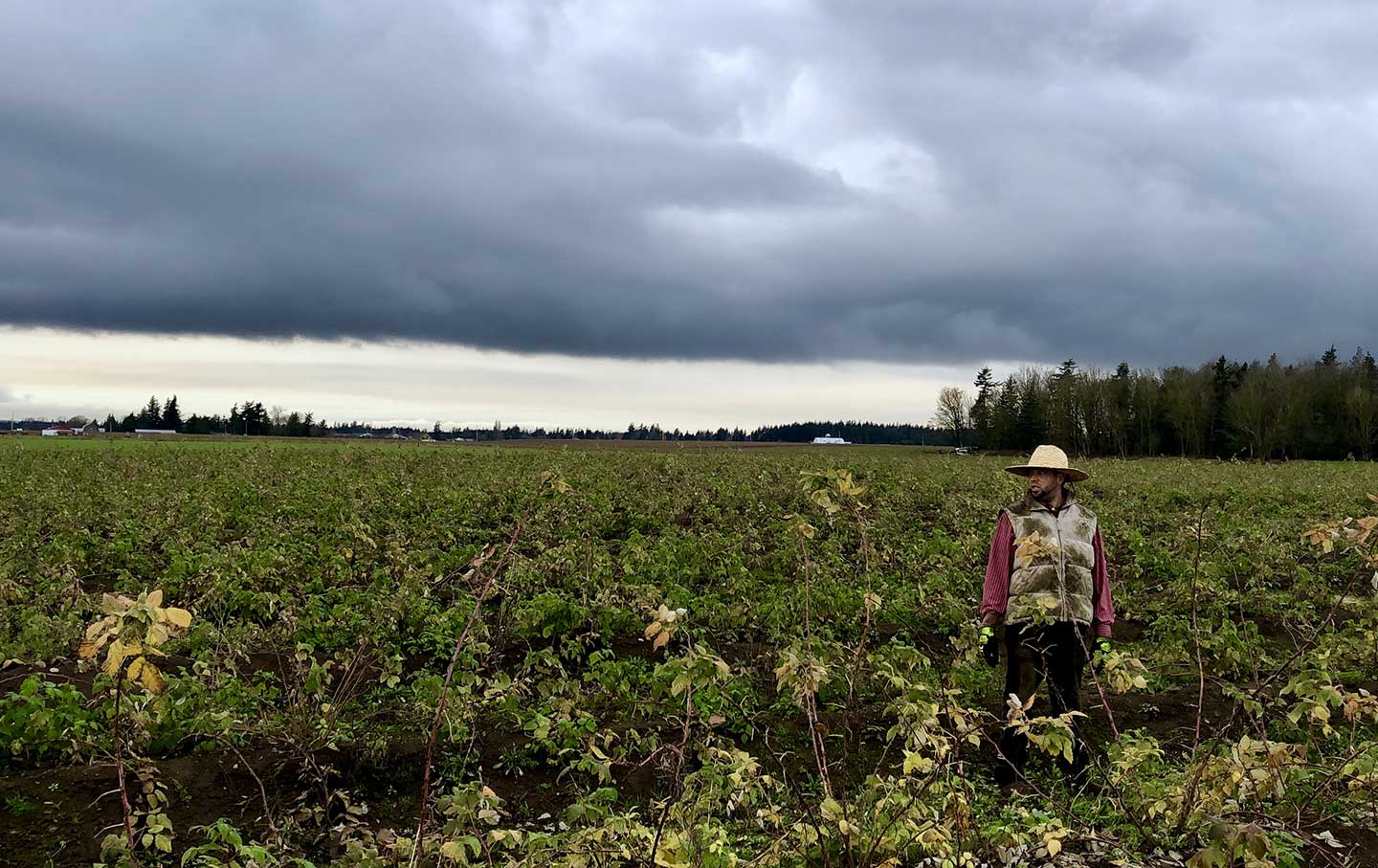 Climate Change Is Already Reshaping How We Farm