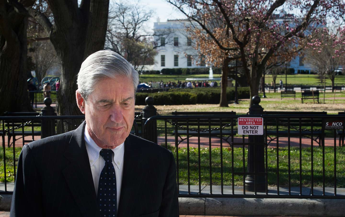 Mueller Russia Probe