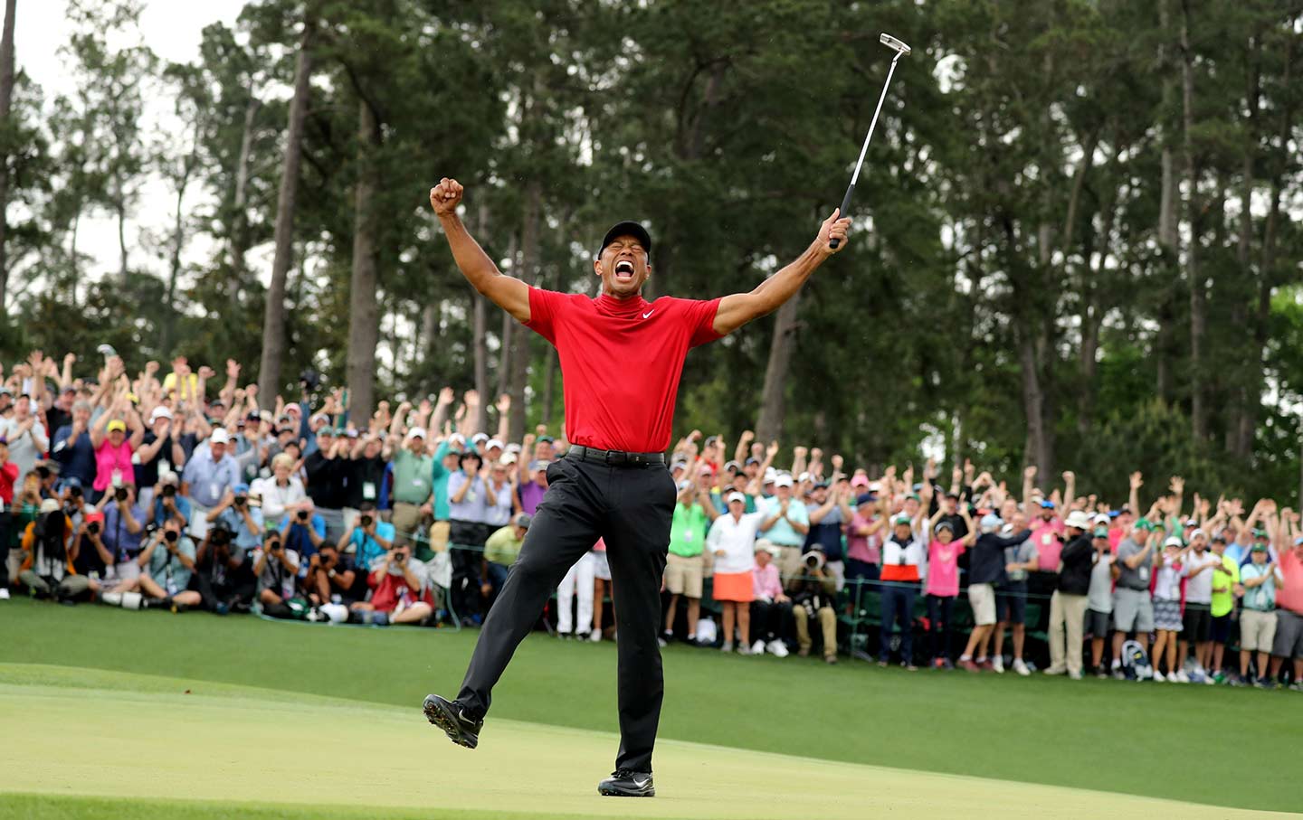 Image result for tiger woods