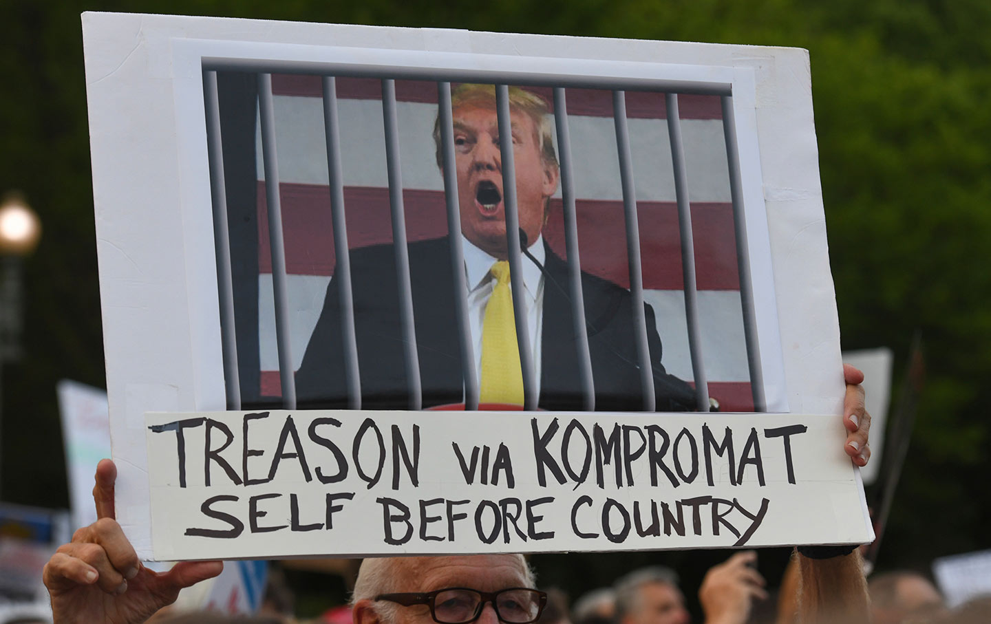 Anti-Trump protester's sign