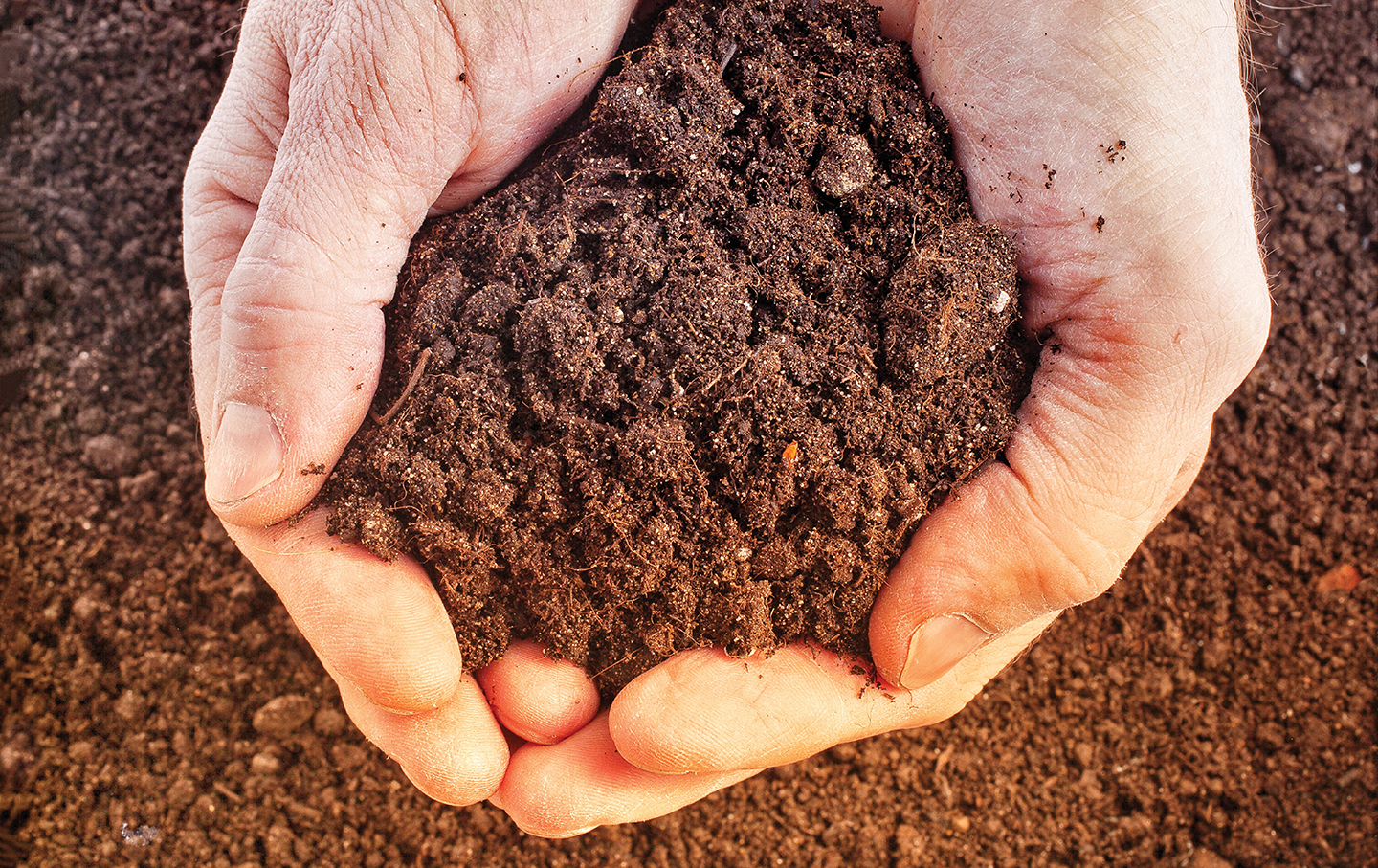 How Carbon Farming Can Help Stop Climate Change in Its Tracks