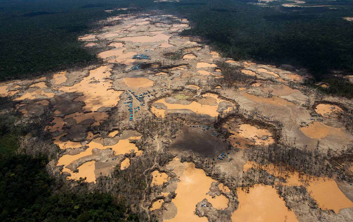 The Other Man-Made Disaster Ravaging the Amazon | The Nation