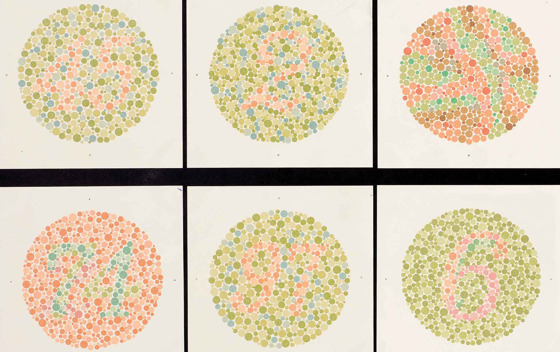 Who Gets to Be ColorBlind? The Nation