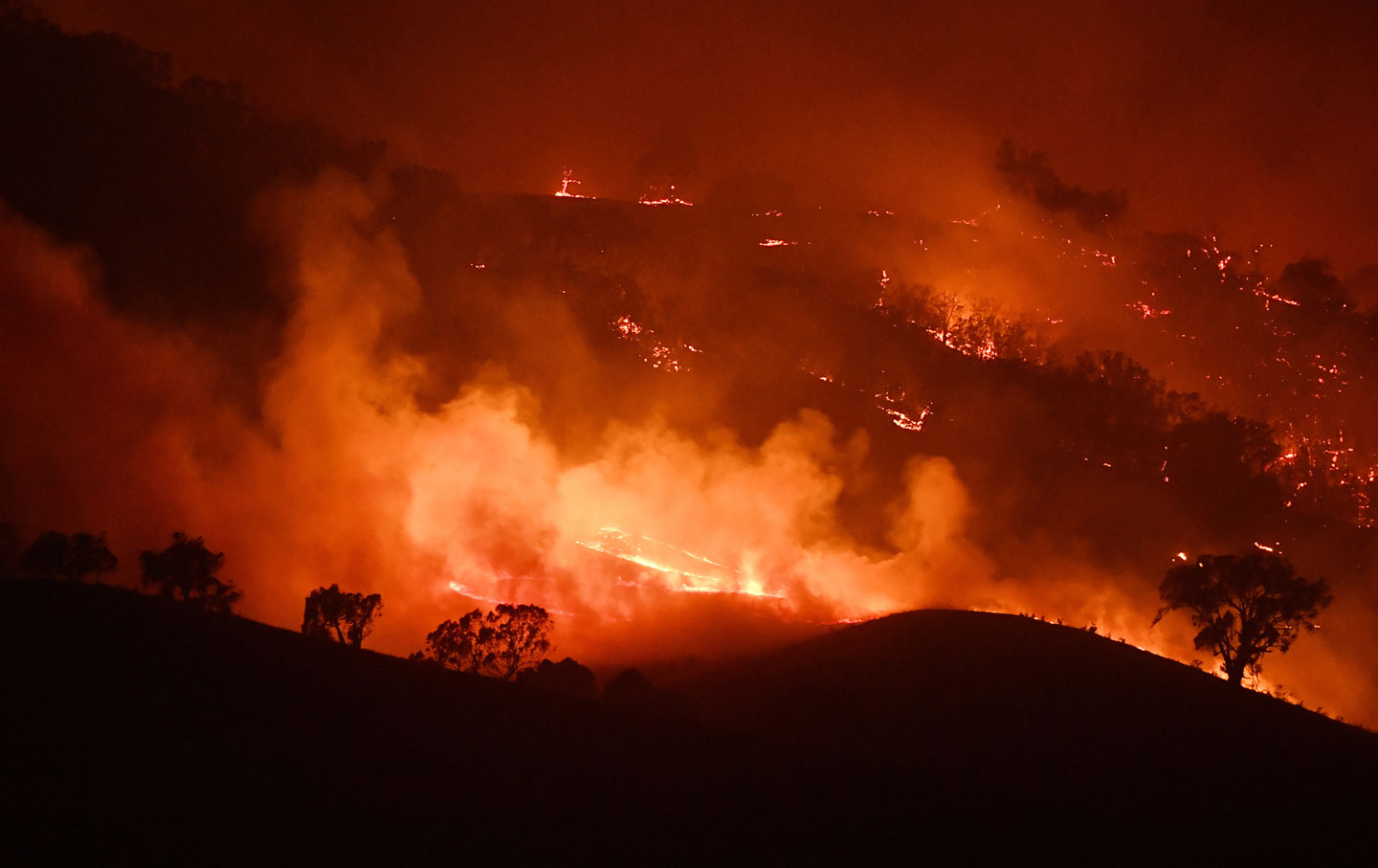 Australia’s Devastating Wildfires Were Not Inevitable