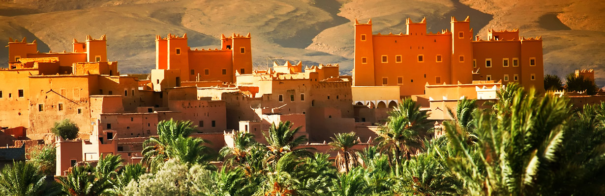 The Ancient Medina of Fez