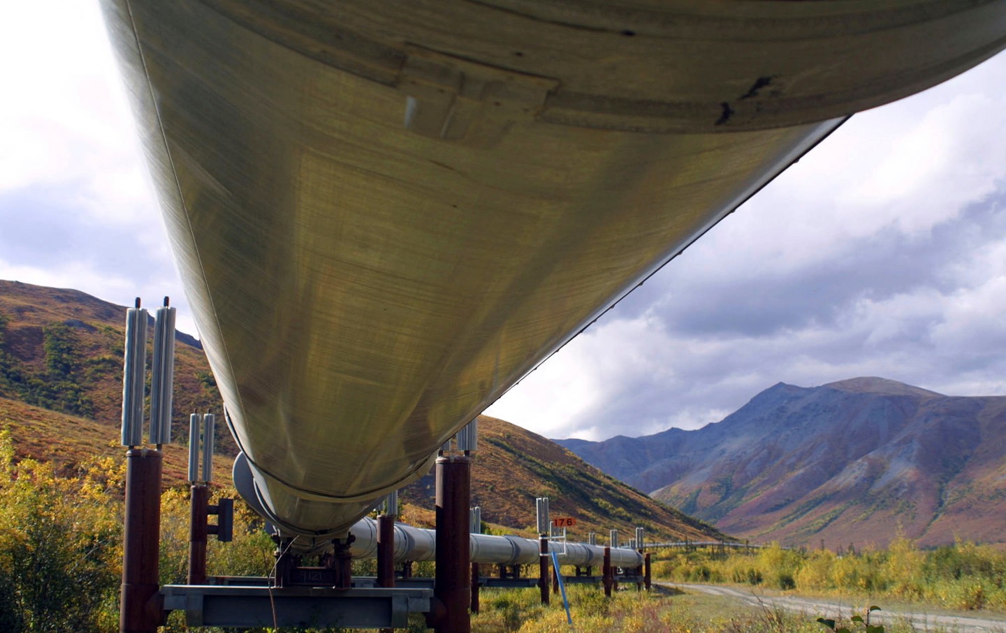 A portion of the Trans-Alaska Pipeline near Fairbanks, Alaska