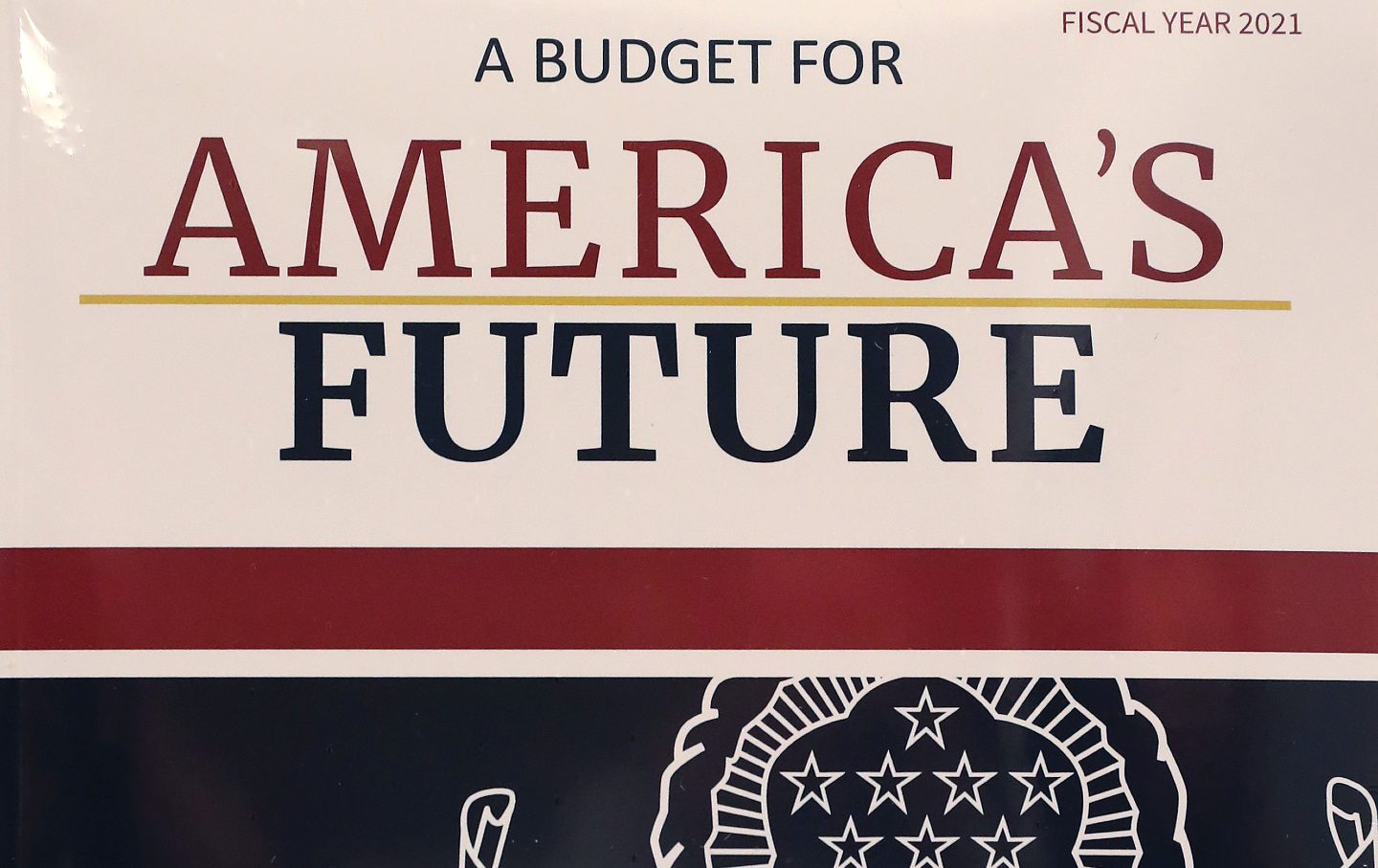 A copy of Trump's FY2021 budget.