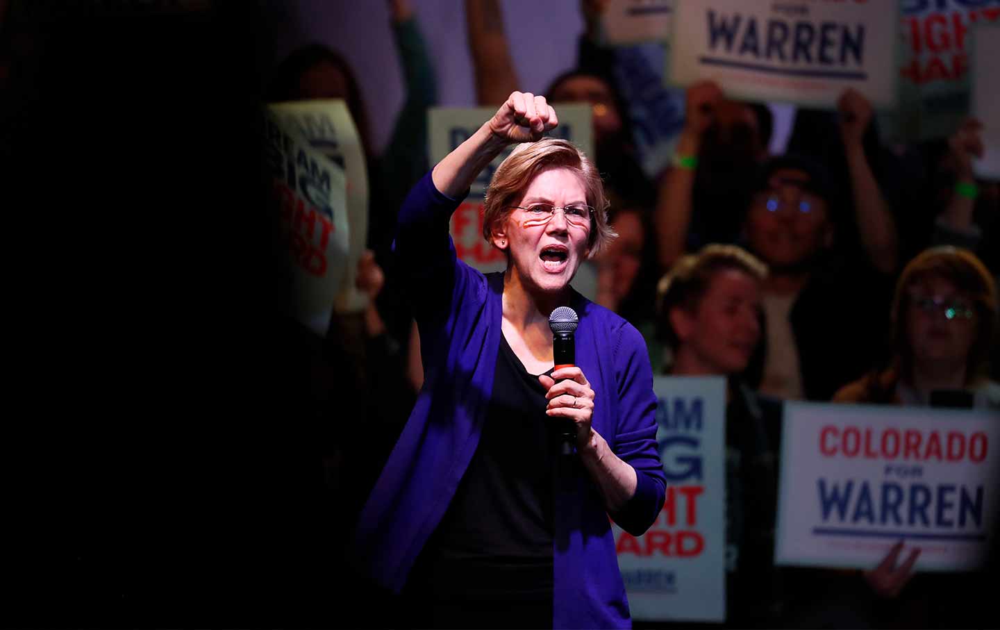 Put Elizabeth Warren in Charge of Writing the Democratic Platform