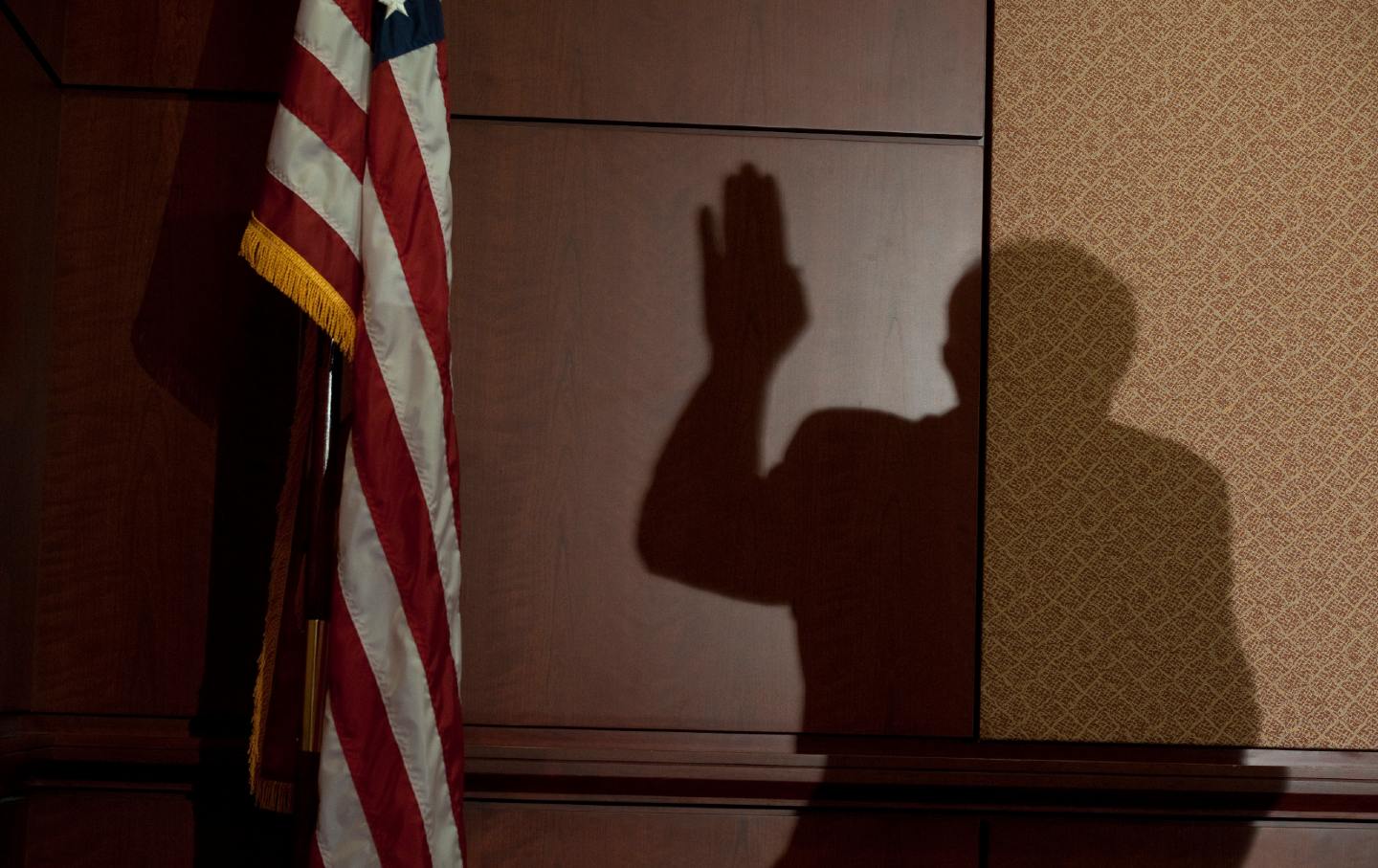 The shadow of Bernie Sanders, with his hand raised, next to an American flag