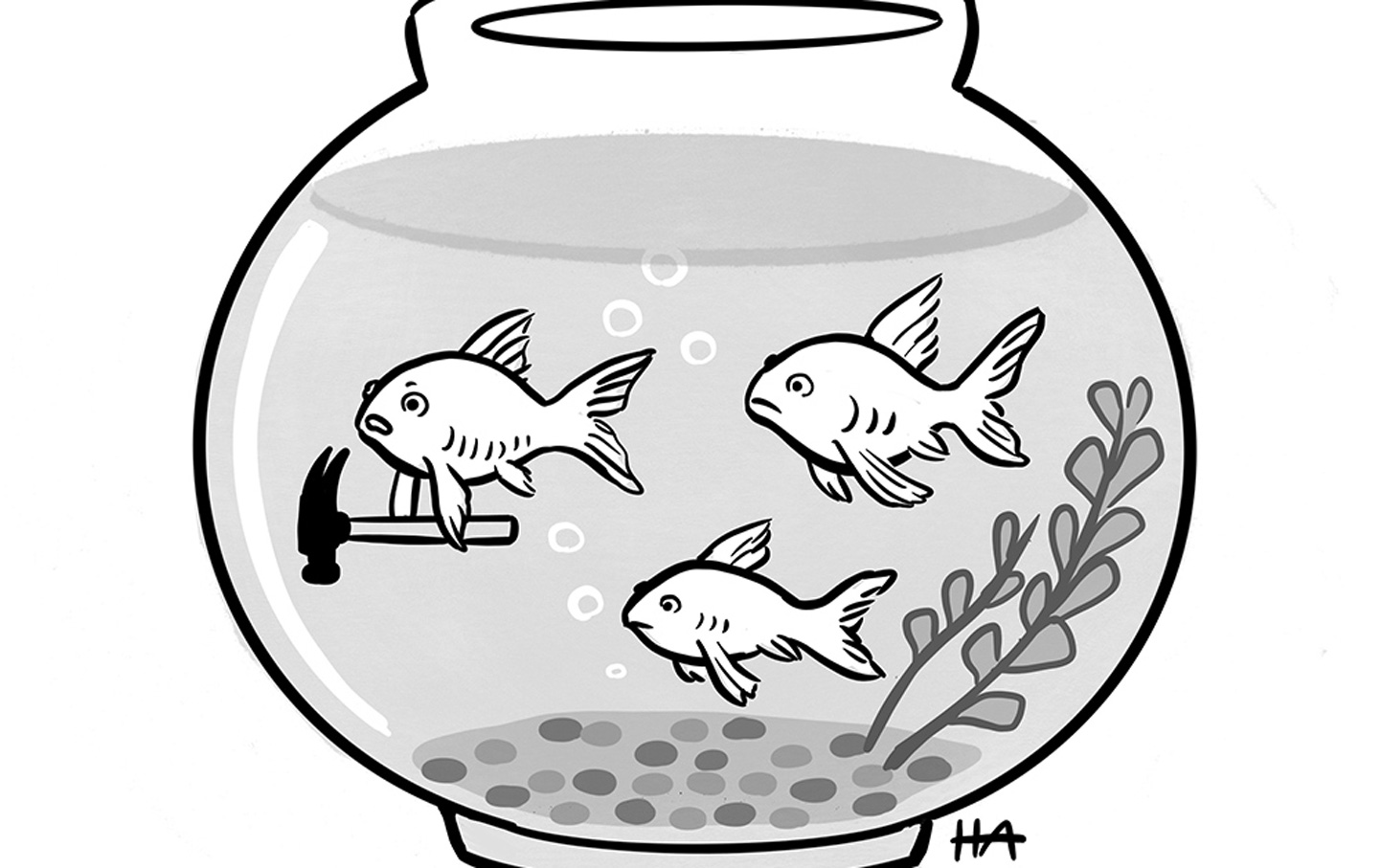 Opening During a Pandemic