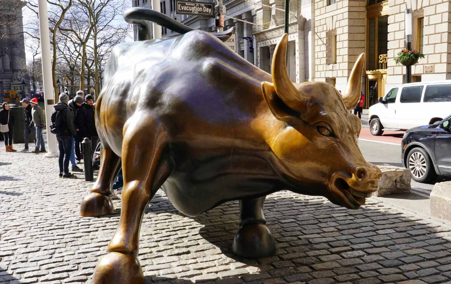 Charging Bull