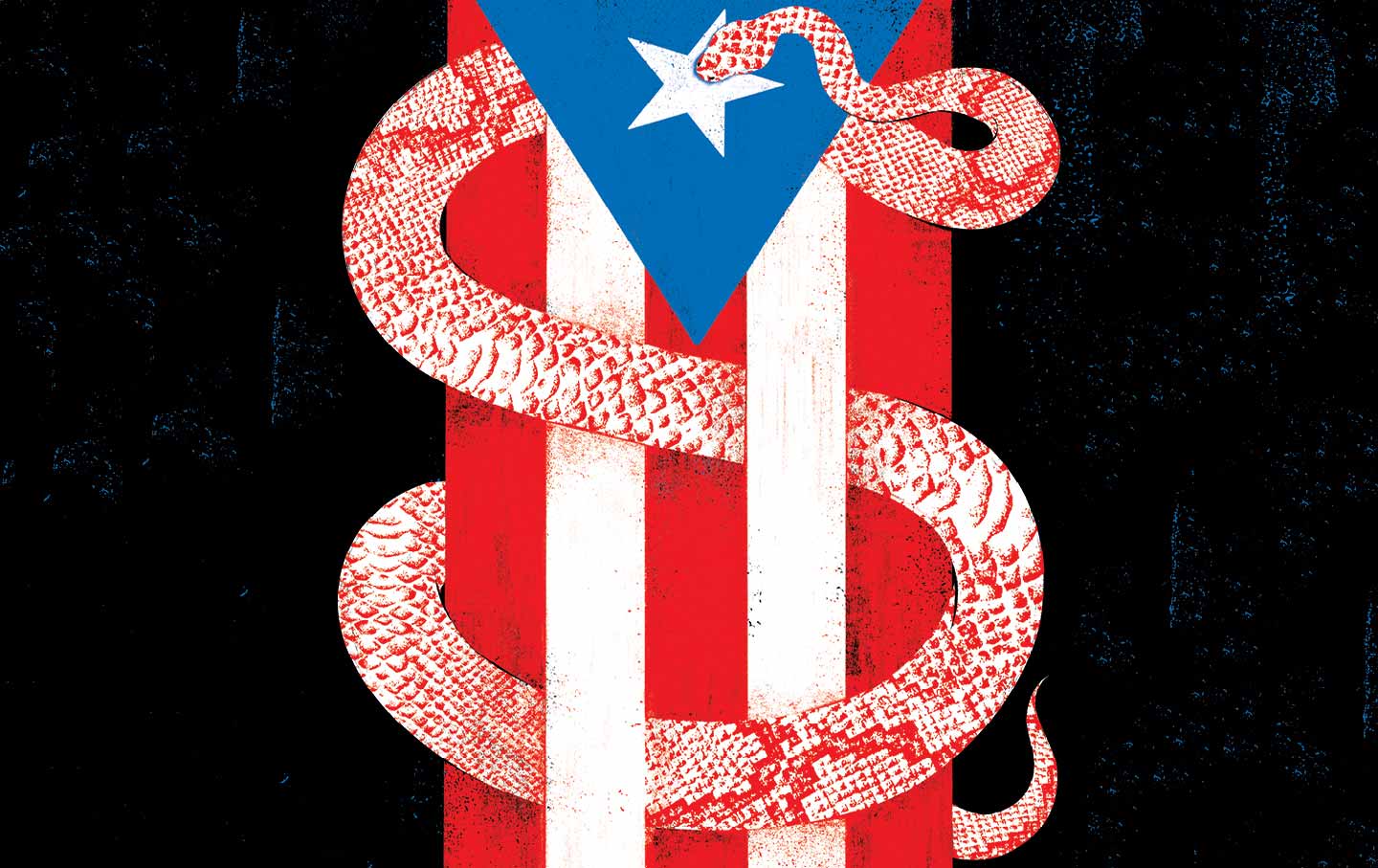 Privatizing Puerto Rico