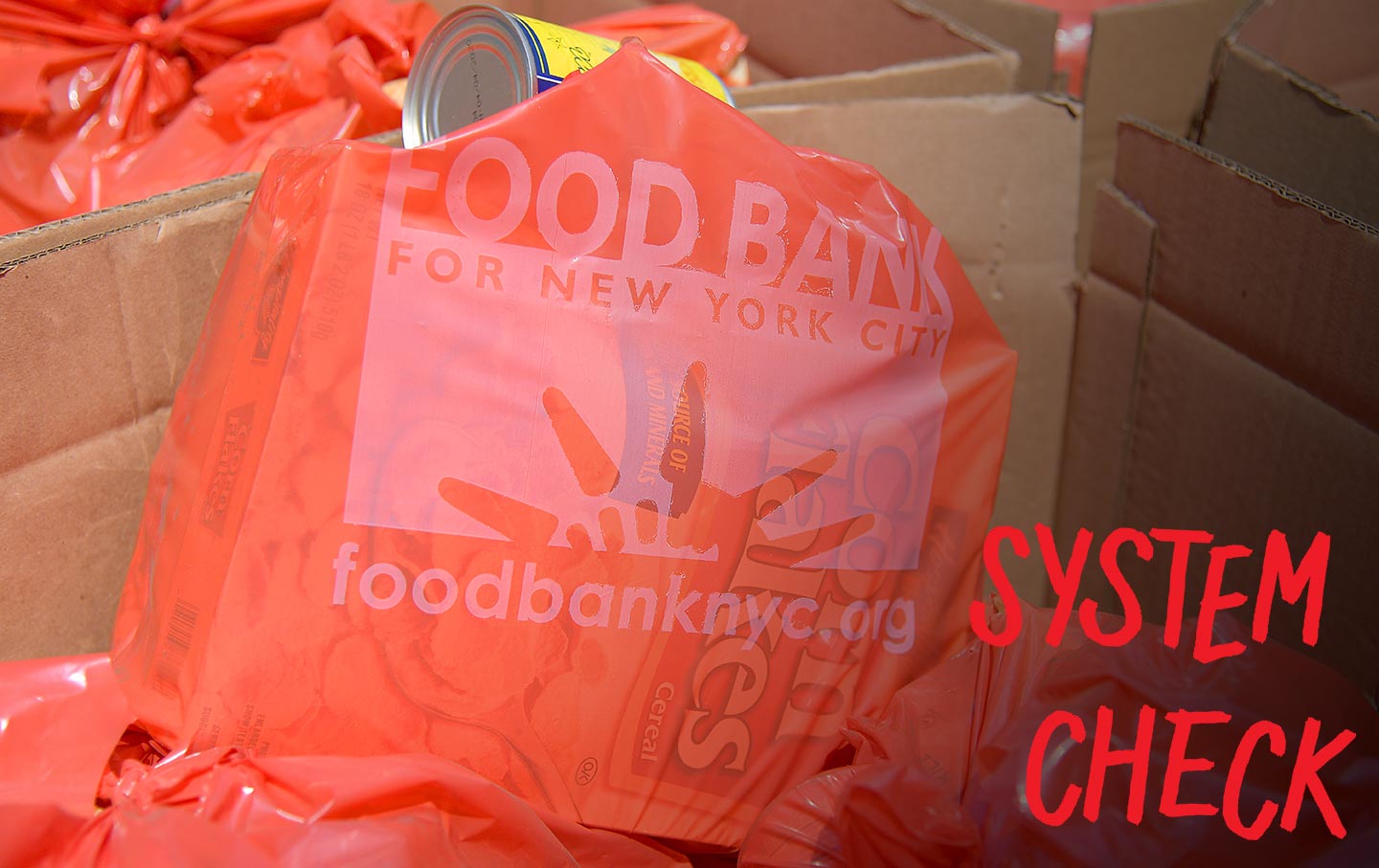food-bank-gt-img
