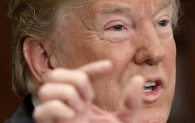 Even as a Weak President, Trump Has Undermined Democracy