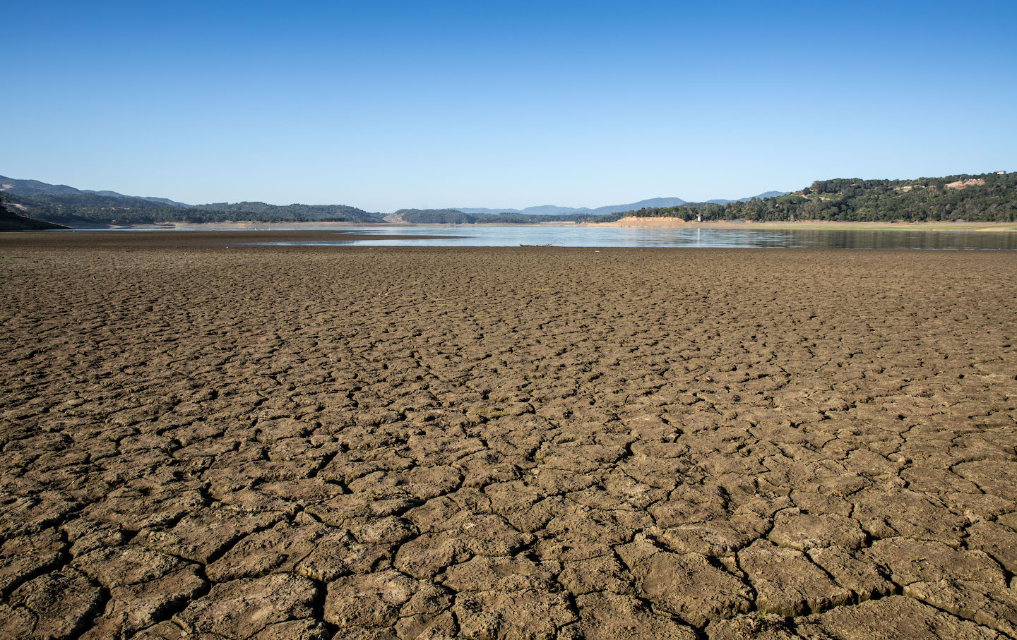 California's Drought Goes From Bad To Worse