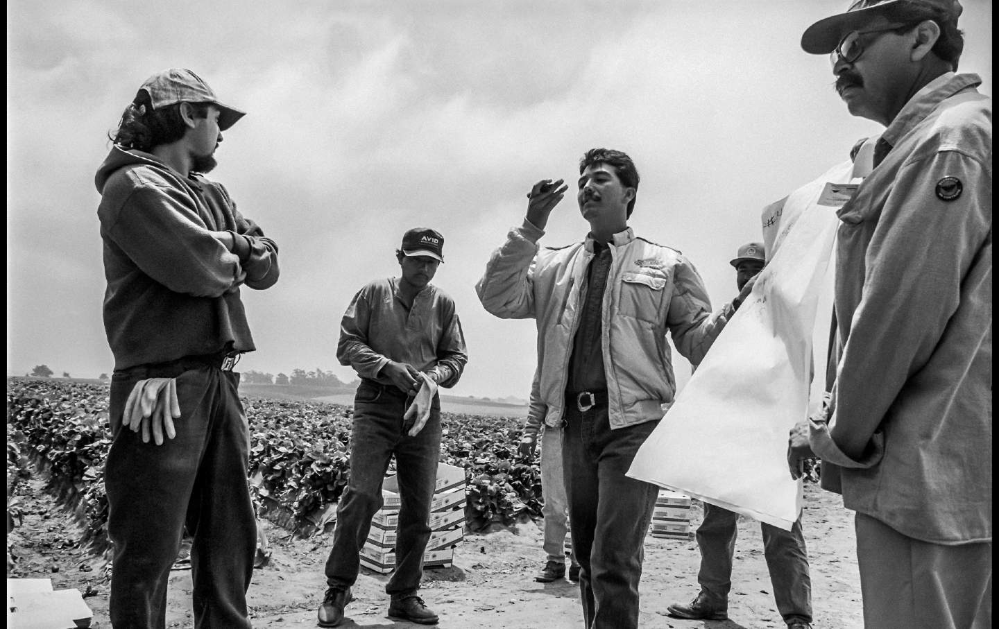 United Farm Workers