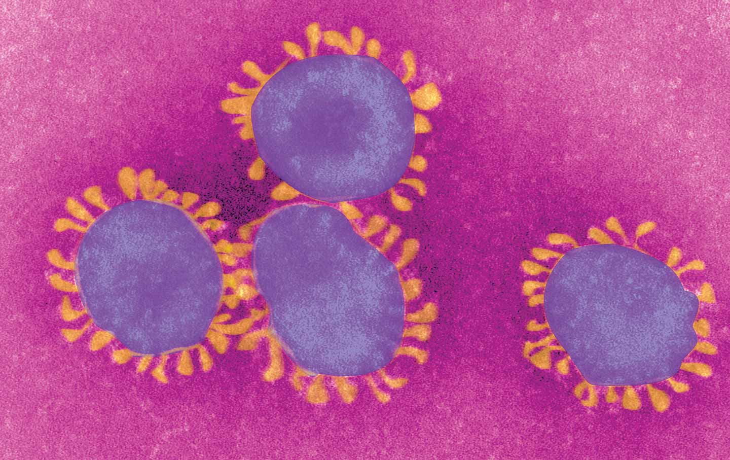 The Politics of Viruses